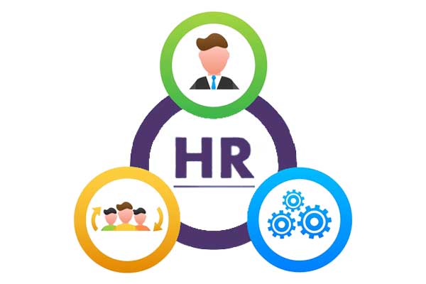 netsuite-hr-management-system